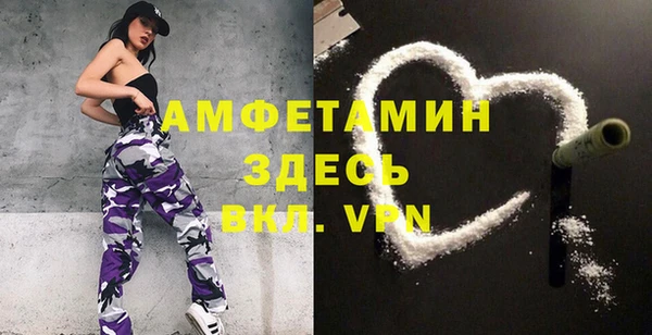 гидра Абаза