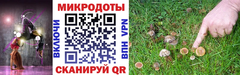 hydra ТОР Черепаново Псилоцибиновые грибы Cubensis